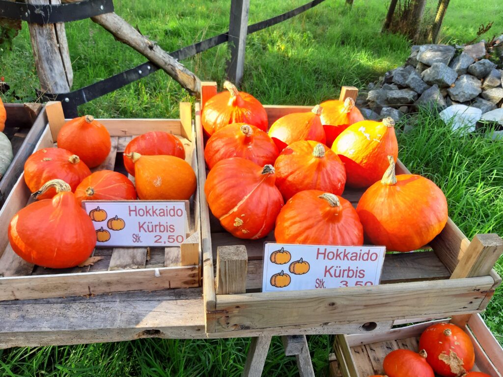 Hokkaido Kürbis vom Biohof