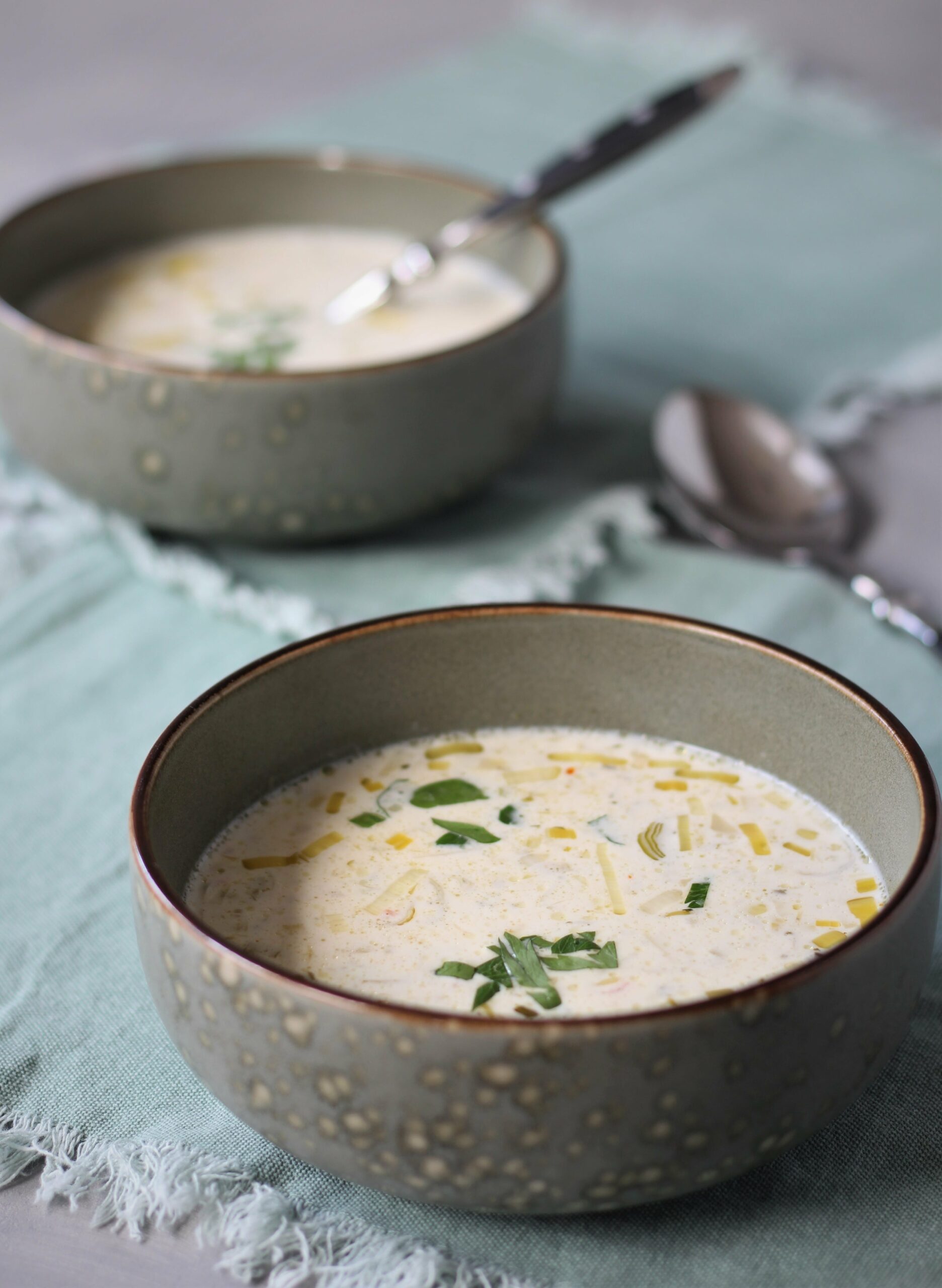 Käse Lauch Suppe vegetarisch